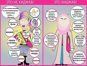 зобр 6