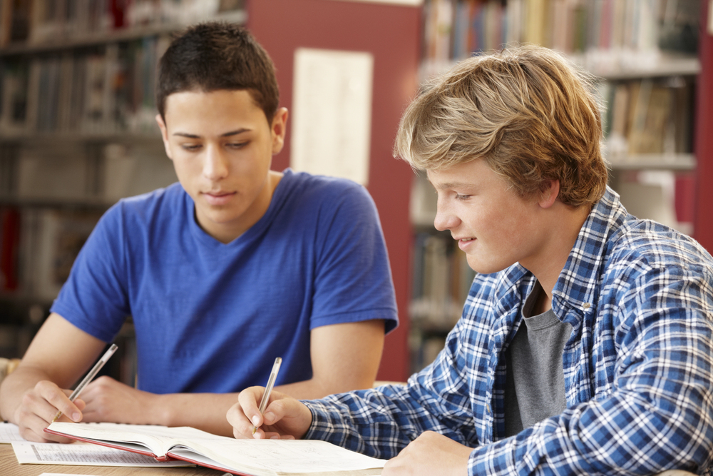 НМТ по биологии 2025: программа и советы для подготовки