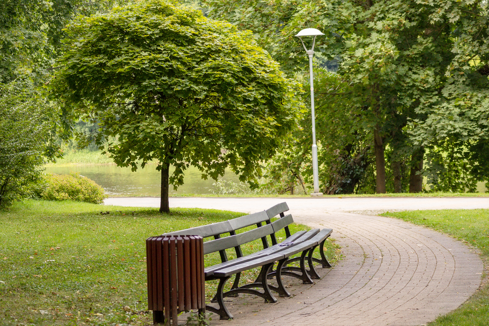 Что изучает биология