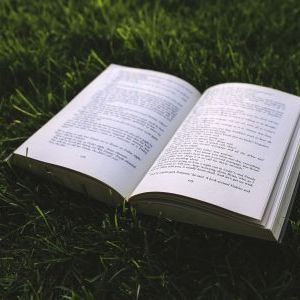 10 книг на английском от Beginner до Advanced, которые помогут улучшить уровень языка