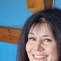 Репетитор - Аліна П. id: 119313