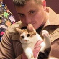Репетитор - Максим П. id: 178089