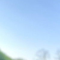Репетитор - Ольга Ч. id: 43575