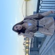 Анна Нелепа id: 218410