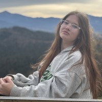 Репетитор - Аліна Ф. id: 191310
