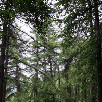 Репетитор - Ольга Б. id: 173567