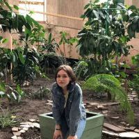 Репетитор - Вікторія М. id: 141538
