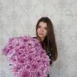 Анастасія К. id: 82808