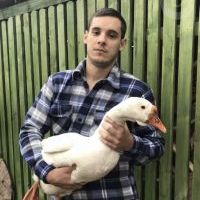 Репетитор - Андрей Д. id: 127565