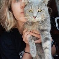 Репетитор Дарія Кучерова - BUKI