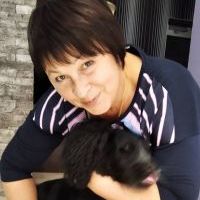 Репетитор - Ірина А. id: 38355