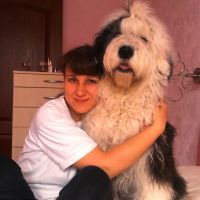 Репетитор - Олена К. id: 51757