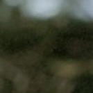 Репетитор Дмитро Стецик - BUKI