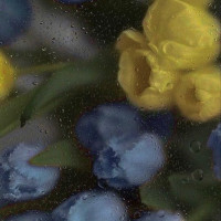 Репетитор - Вікторія Я. id: 156913