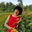 Олена Ю. id: 113001