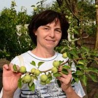 Репетитор - Елена Ш. id: 89738