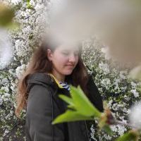 Репетитор - Аліна Л. id: 94624