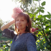 Репетитор - Юлія Л. id: 175031