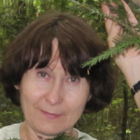 Репетитор - Оксана С. id: 101472