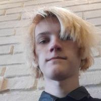 Репетитор Антон Лупанов - BUKI