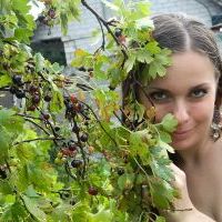 Репетитор - Екатерина В. id: 2637
