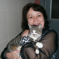 Репетитор Ніна Котлубай - BUKI