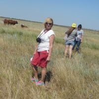 Репетитор - Лариса Б. id: 133292