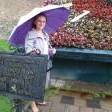 Юлія Б. id: 22963