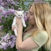 Репетитор - Анна В. id: 144462