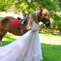 Репетитор - Лілія В. id: 121453