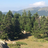 Репетитор - Елена Л. id: 148539