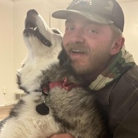 Репетитор Kolton Tolleson - BUKI