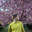 Матвій Панасюк id: 213078