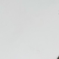 Елизавета Ярош  репетитор  Англійської мови онлайн