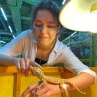 Репетитор - Катерина М. id: 145689