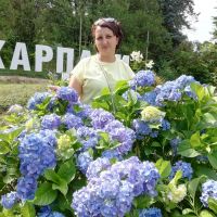 Репетитор - Яна Д. id: 122999